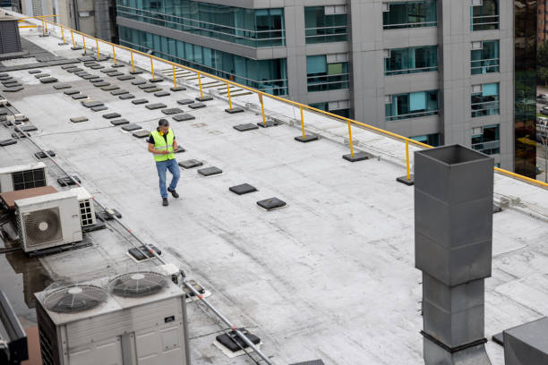 Best Solar Panel Roofing Installation  in Port Huron, MI